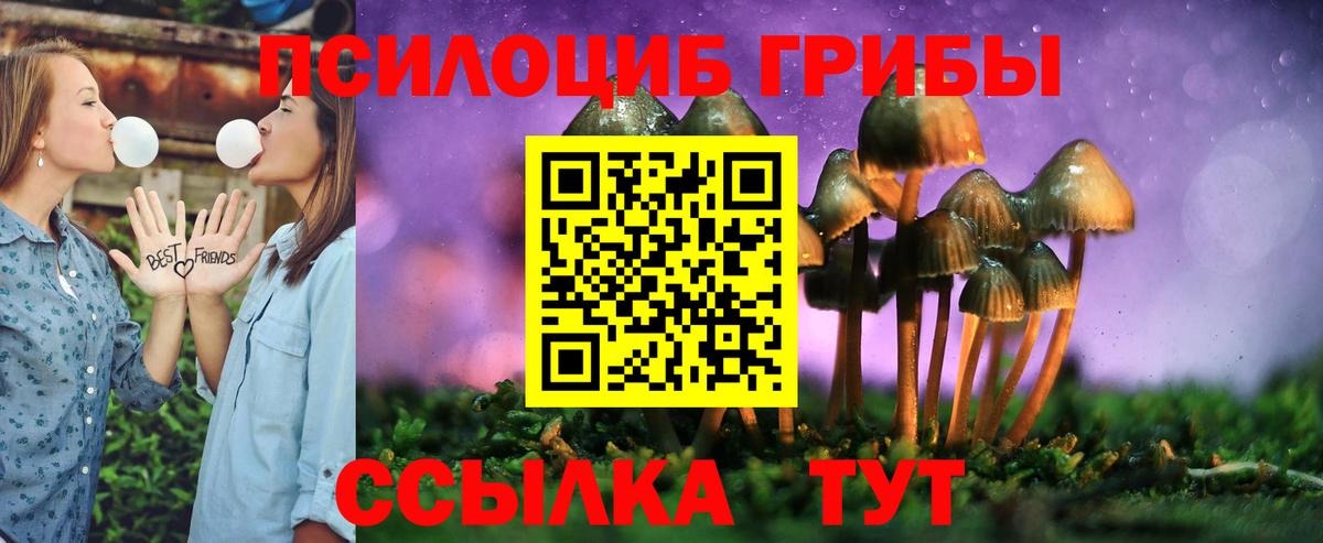 Галлюциногенные грибы MAGIC MUSHROOMS Ржев