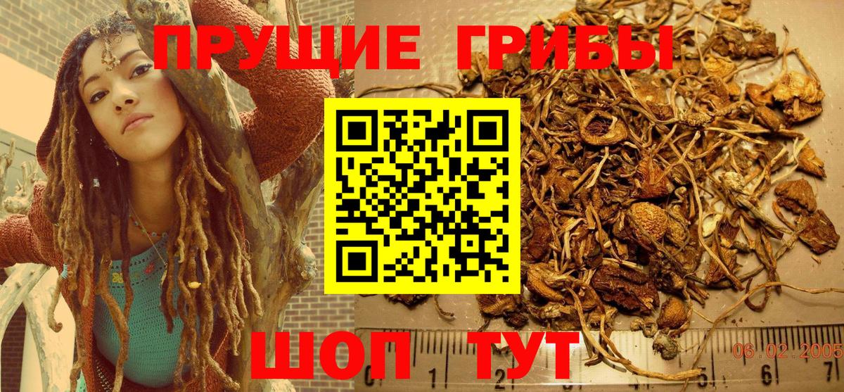 Псилоцибиновые грибы Psilocybine cubensis  Вход с VPN  Ржев 
